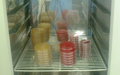 Refrigerador
