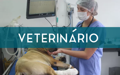 setor veterinário